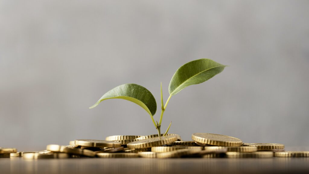 Piano di Accumulo: Vantaggi e Svantaggi
